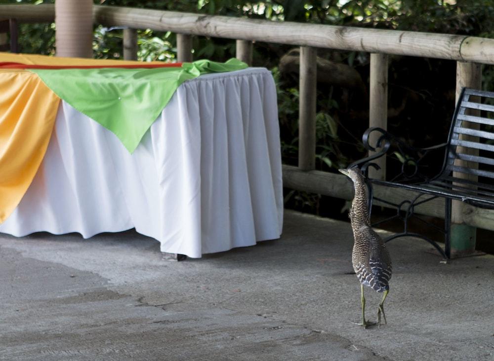 Evergreen Lodge Tortuguero Dış mekan fotoğraf