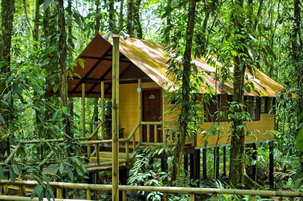 Evergreen Lodge Tortuguero Dış mekan fotoğraf