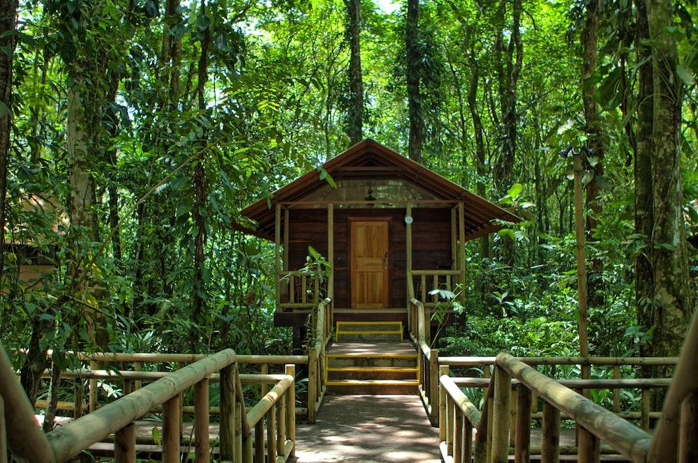 Evergreen Lodge Tortuguero Dış mekan fotoğraf